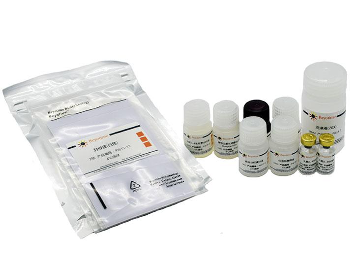 Rat IL-4 ELISA Kit